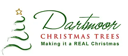 Dartmoor Christmas Trees