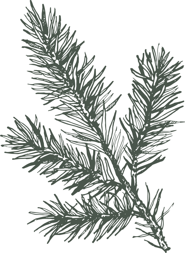 Cambrose Christmas Tree Farm