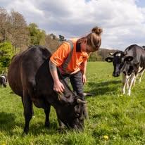 Wild cow experience tour - farm adventure!