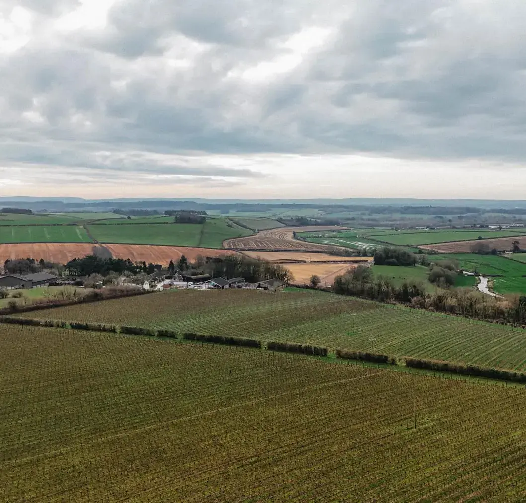 Langham Wine Estate