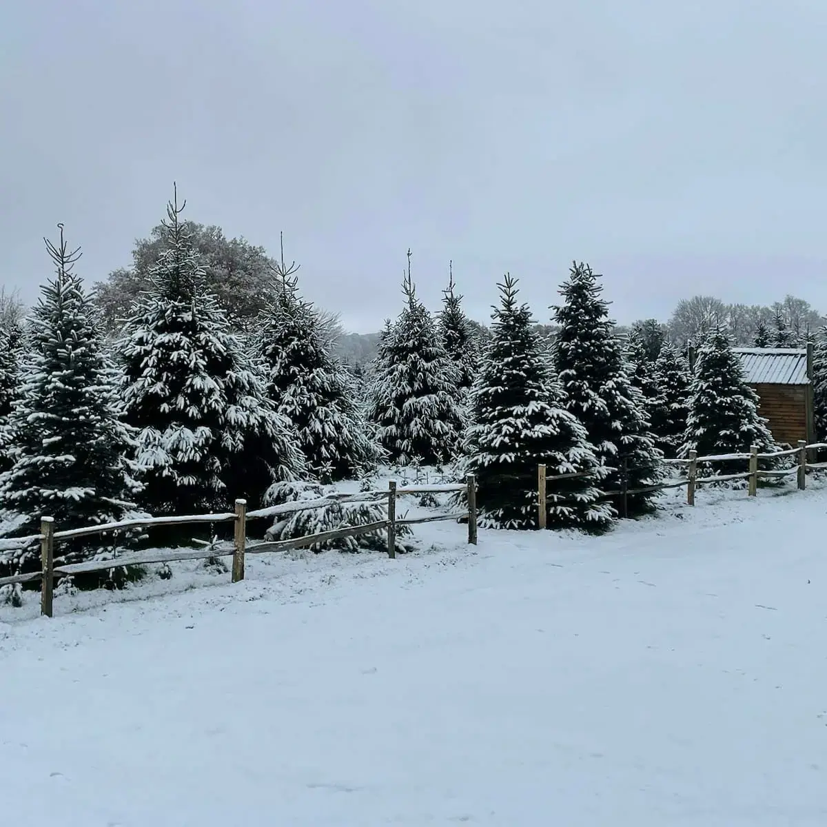 Goddenwick Farm