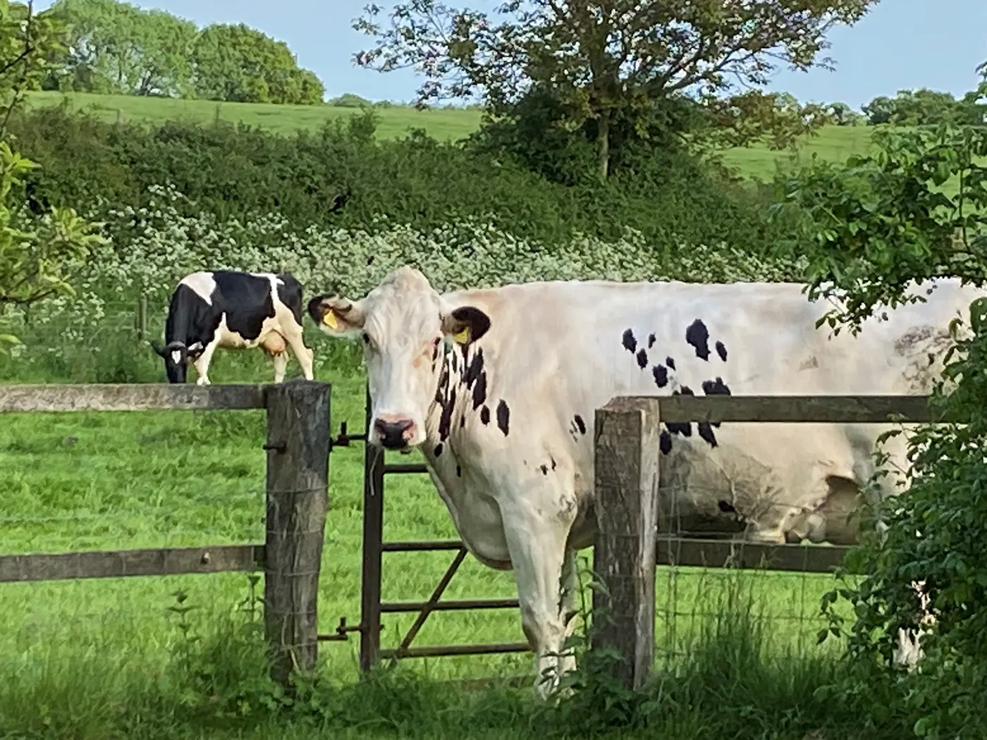 NFU Winchester(car park)