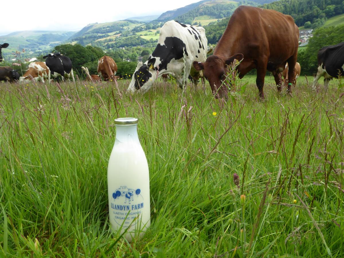 Milk Vending Machine at Llandyn Holiday Park, Llanngollen